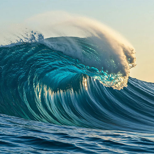 Olas de bienestar